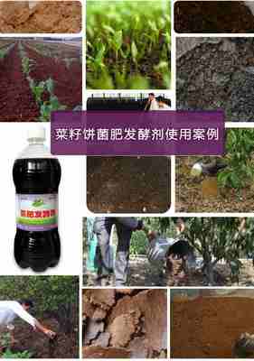 菜籽餅作為生物有機(jī)肥料的處理方法與研發(fā)前景